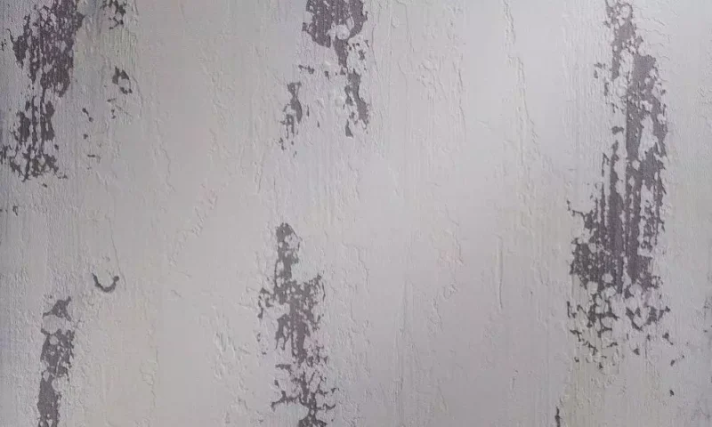 Decorazza Barilievo высокопластичная декоративная штукатурка